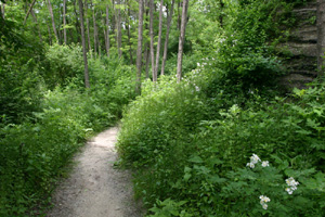 Image 3-13
