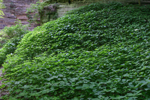 Image 3-14