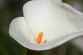 Image 3-6